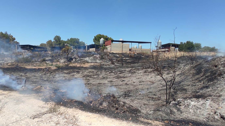 El incendio se originó junto a una explotación ganadera.